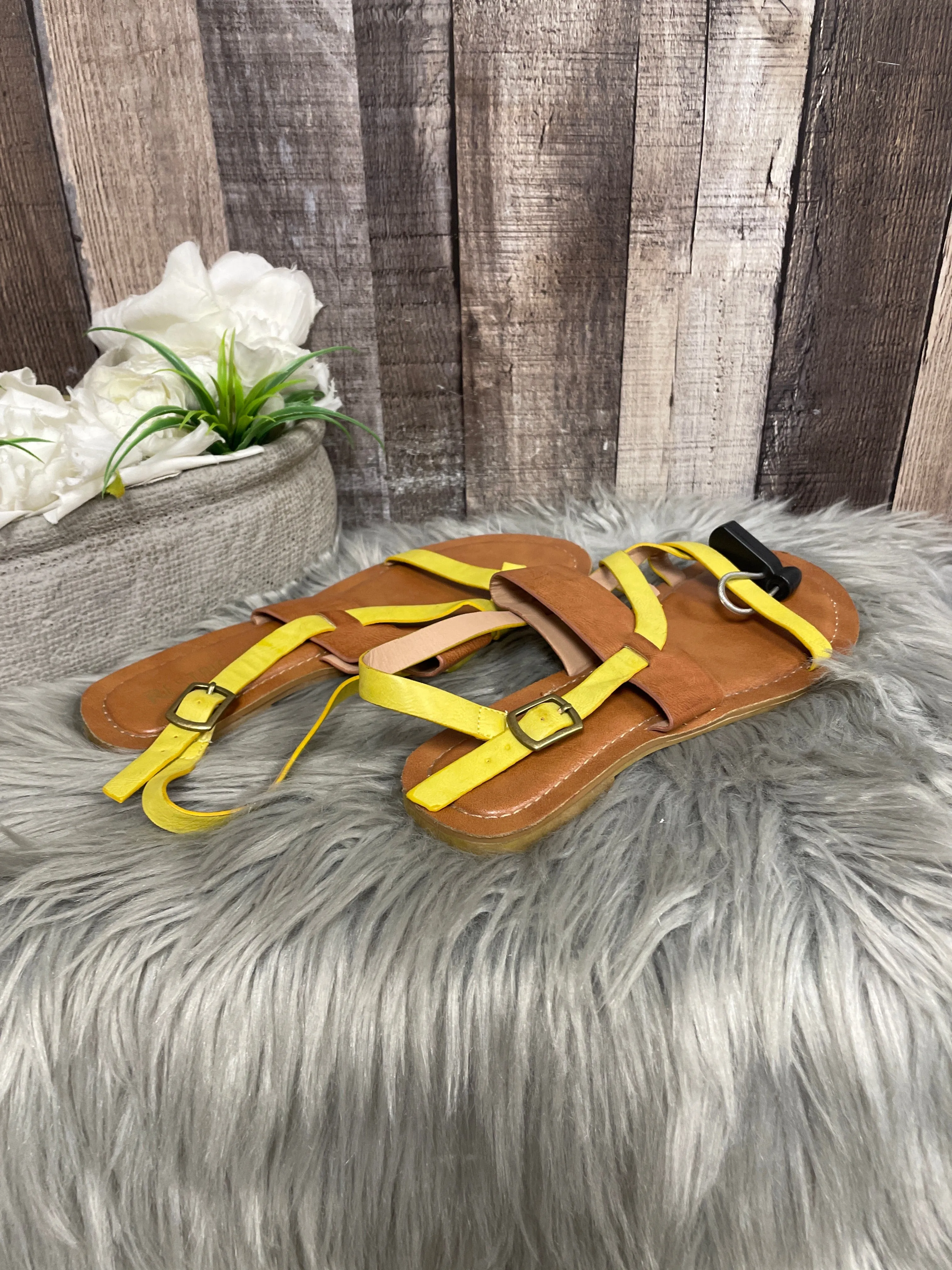 Brown & Yellow Sandals Flats Restricted, Size 8