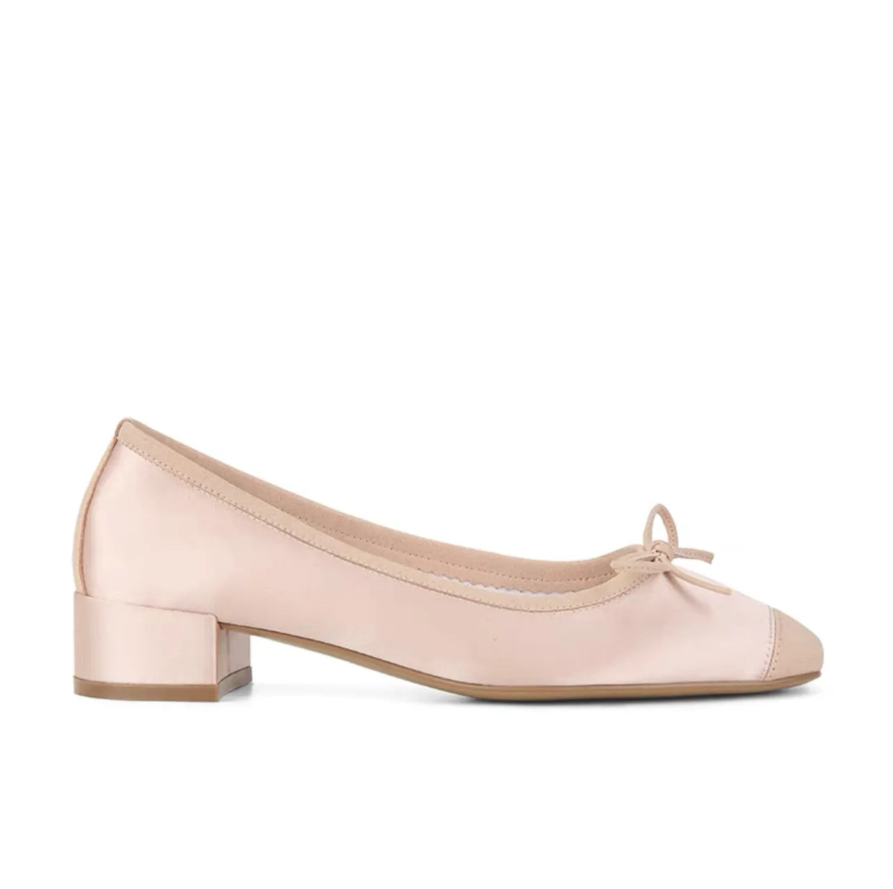 Leather Ballet Slipper (Flats and Low Heel)